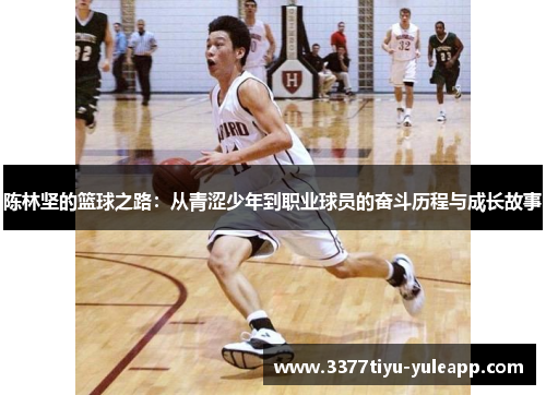 陈林坚的篮球之路：从青涩少年到职业球员的奋斗历程与成长故事